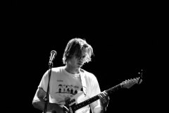 Gibby-2-Troubadour
