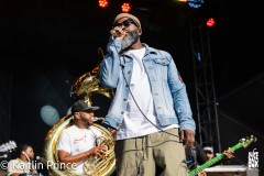 TheRoots_-1