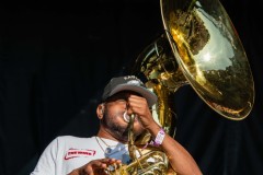 TheRoots_-3