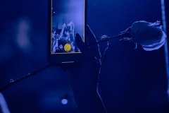 Bankrol-Hayden-23-Sinclair