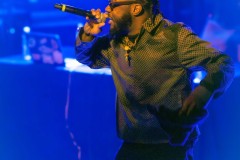 BrindaDhawan-Echo-ReubenVincent-ParadiseRockClub-9