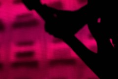 Bob-Moses-Roadrunner-3