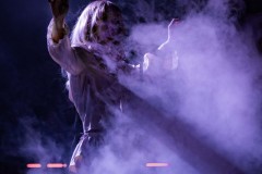 Cannons-Roadrunner-13