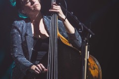 Lake-Street-Dive-Mohegan-12