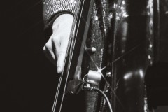 Lake-Street-Dive-Mohegan-20