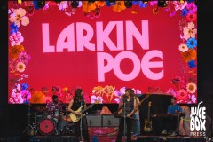 larkin-poe-11