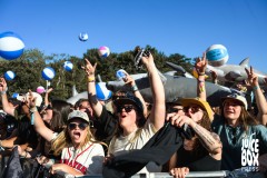 crowd-2