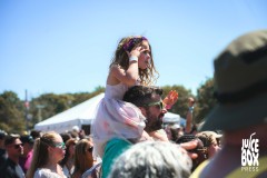 crowd-3