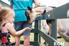 Goats-2-watermarked