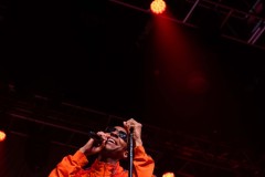 Masego-HOB-7