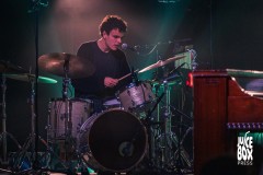 mattmaltese-08