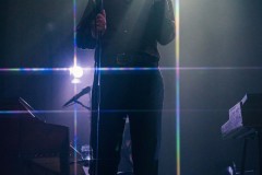 mattmaltese-18