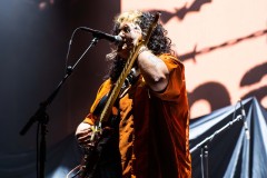 Palehound-MGM-5