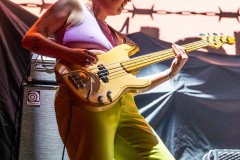 Palehound-MGM-9