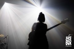 hot-stamp-credit-nick-davarias-EartH-1